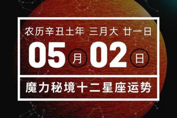 1995年2月2日出生的命理解析与人生运势探讨