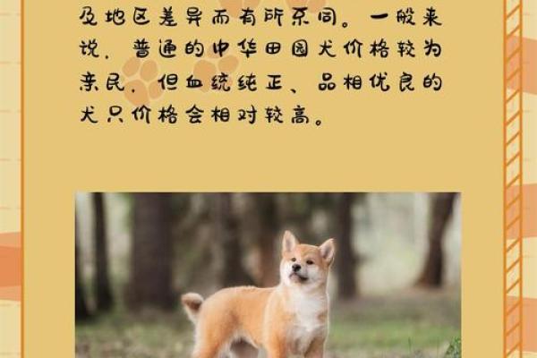 探秘土狗：为何它被认为是“木命”之宠？