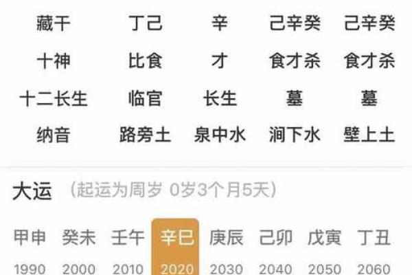 1994年正月出生男孩的命理解析与人生指导