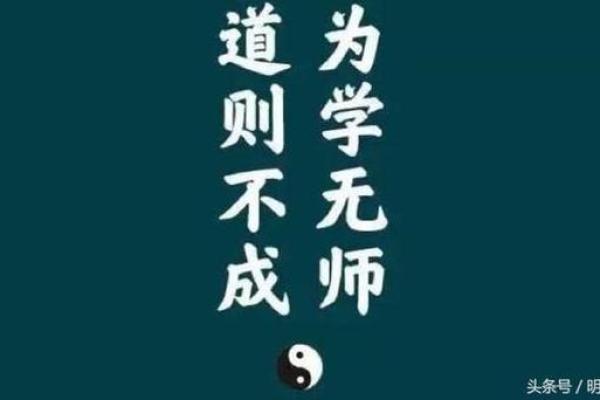 揭示命主贪狼的女人：神秘魅力与个性特征解析