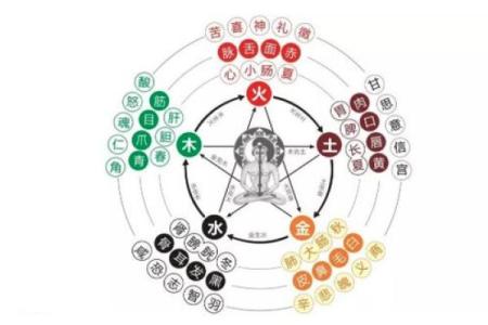 掌握五行之道：饿火命与适合的乐器选择