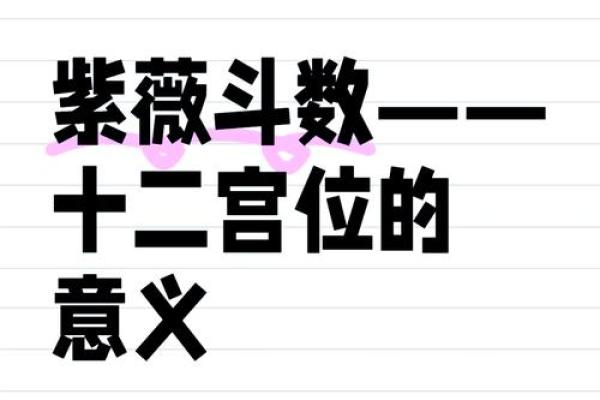 早已注定的命运：探索人生中的命理之谜与选择