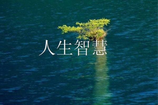 揭秘水火之道：八字命格中的水火交融与人生智慧