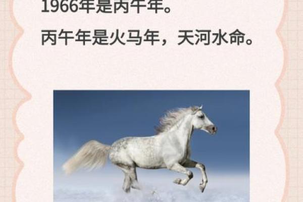 90属马的人是什么命？了解他们的命格与缺失特征