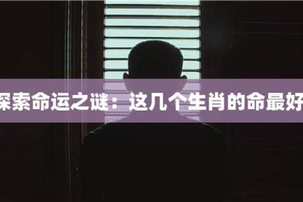 男性生肖与命格解析：探寻命运背后的秘密之旅