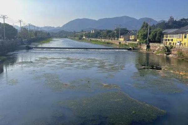 大溪水命：探索与相克之道的深邃旅程