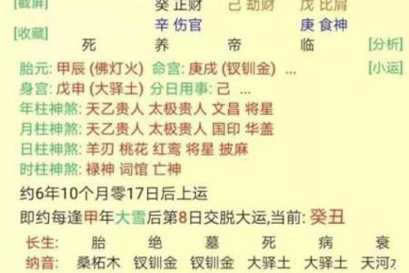 属狗1970女性命理解析：勇敢坚韧与温暖智慧的结合