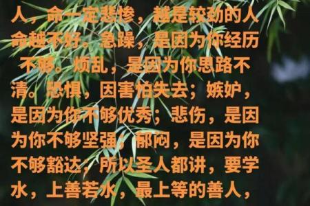 火猴命：热情与智慧的完美结合，揭示人生的奥秘与机遇