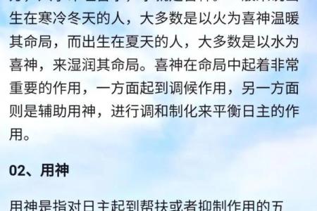 探寻2018属狗小孩的命运之路：五行与命理解析