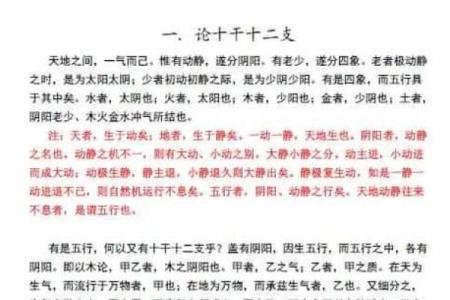 探秘“付于命”的深刻哲理与人生启示