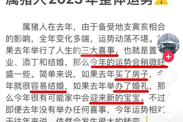 2023年火命人运势解析：迎接挑战，焕发光彩