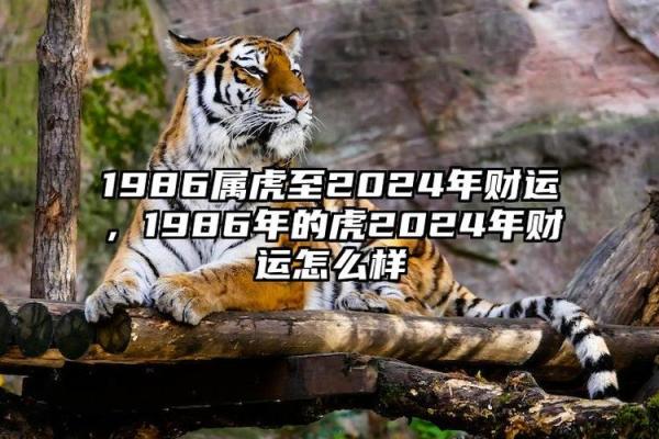 86年虎年出生者的命运与理想伴侣解析