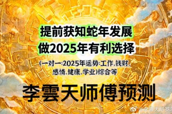 2028属猴之人的命运解析：机智与冒险的结合