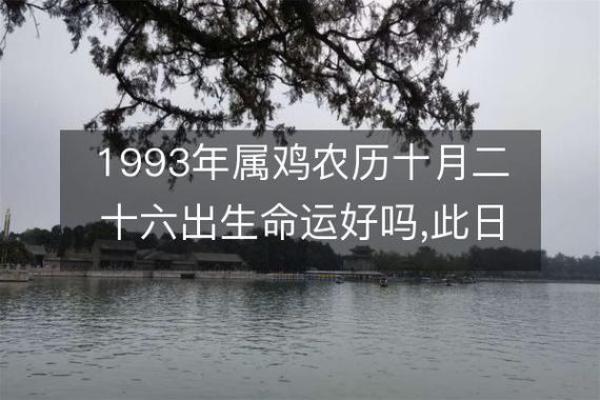 1993年10月出生的人命运与性格特点解析