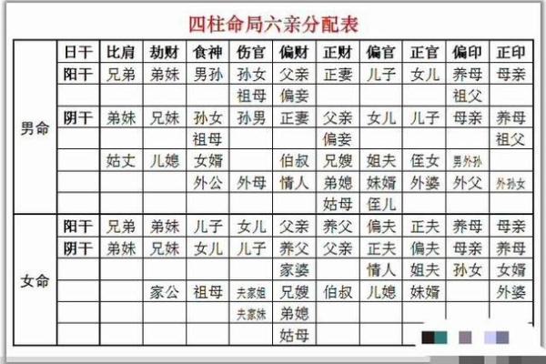 13年小孩命理解析：他们的未来与生肖的秘密