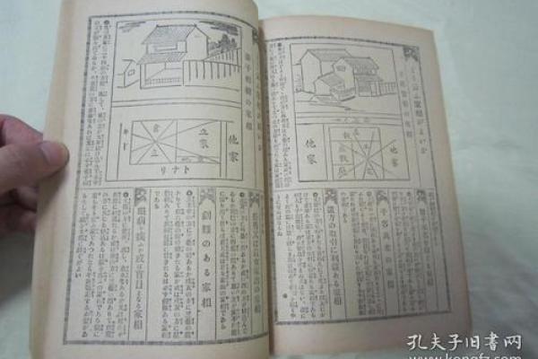 60年命查询：探索你生命的数字密码与命理之旅！