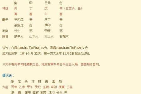 2021年正月出生的人适合的命格与命运分析