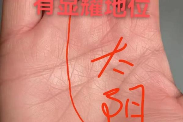 探索手纹的秘密：哪些男士手纹预示旺夫命？