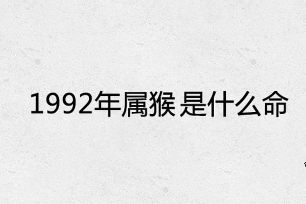 1956年是什么金命：探索属于金命人的魅力与机遇