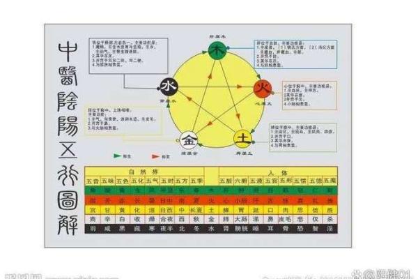 如何解读命盘格局：揭示你的命运密码与人生潜能