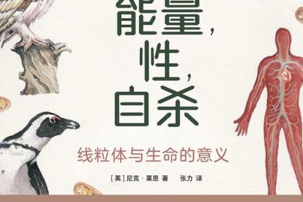 解密生女儿命：女人身体、心理与外在因素的奥秘