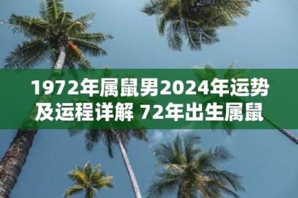 2023年：解密72年出生之人的命运特征与生活智慧