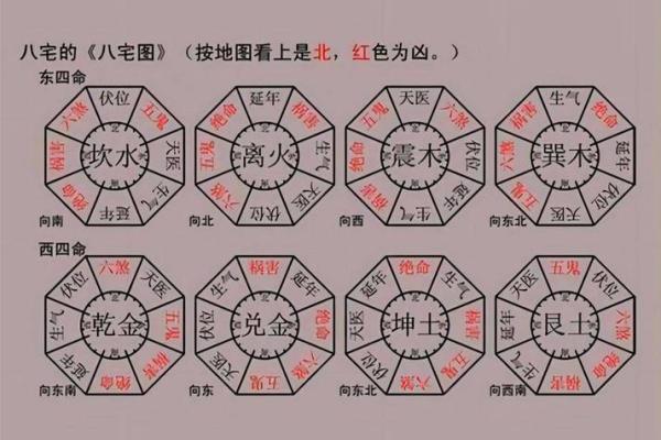 1980年出生的你，宅命解析与人生启示