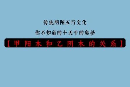 命理中的根与印：揭示命局深层奥秘的两大要素