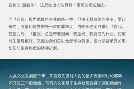 善良的命为何短暂：透视人性的复杂与人生的选择