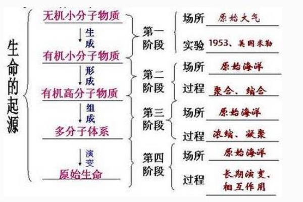 探寻生命的奥秘：一斗一命与零命的深度解析