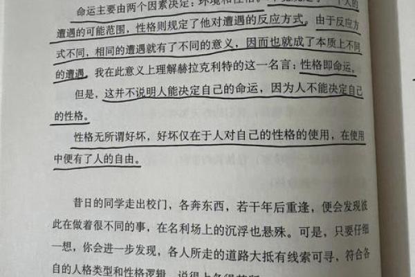 探寻1958年属狗人的命运与性格特征，揭秘生活中的幸福密码！