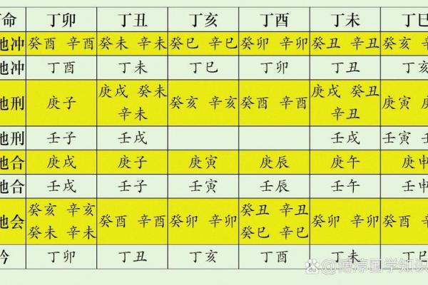 揭示：命理学中的官运与人生成功的秘密