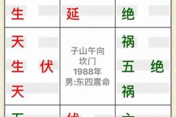 86年坎命属东四命解读：命理背后的智慧与人生启示