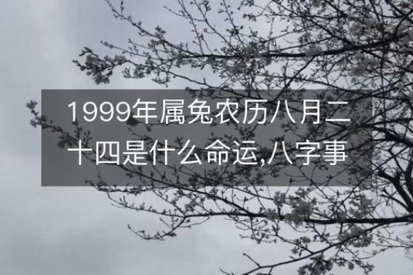 1999年兔子命男的性格与命运解析