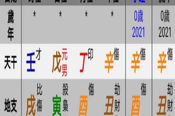 癸酉丁巳辛丑丁酉八字解析：命运与生活的哲学探讨