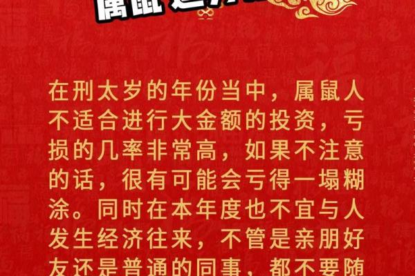 2023年金命人流年运势解析与生活建议