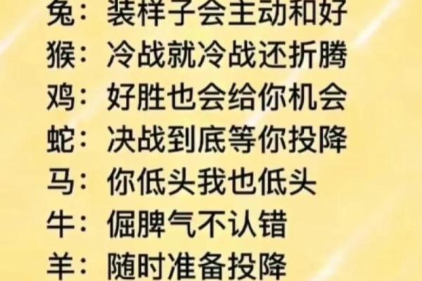 守命寓意背后隐藏的生肖智慧与人生启示