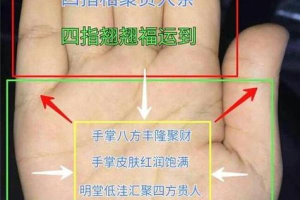 手相长短解析：命格的奥秘与人生轨迹