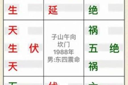 86年坎命属东四命解读：命理背后的智慧与人生启示