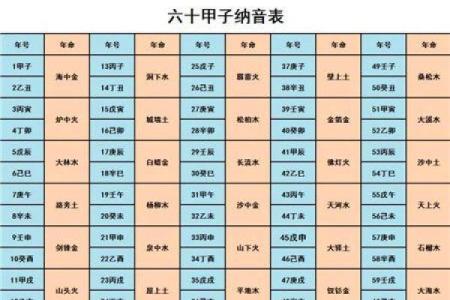 癸酉丁巳辛丑丁酉八字解析：命运与生活的哲学探讨