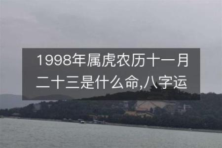 属虎人：1962年出生的命理解读与生活指南