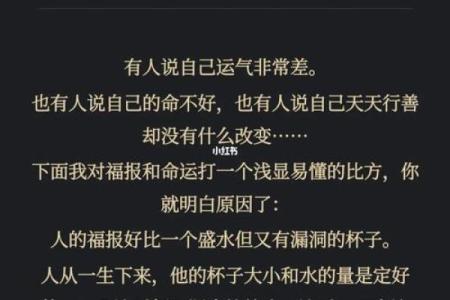 1999年属什么命解析：揭示命运背后的秘密与机会