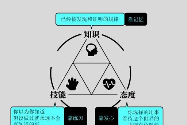 探究你的一生命格：揭示个体命运与人生轨迹的奥秘