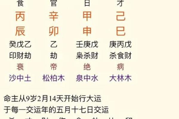 如何通过生辰八字了解你的命运轨迹