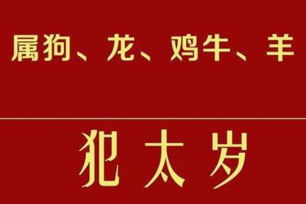 属狗犯太岁，2023年如何化解命运困局！