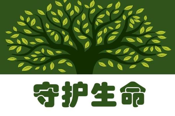 416生命宣誓：守护生命的承诺与希望力量