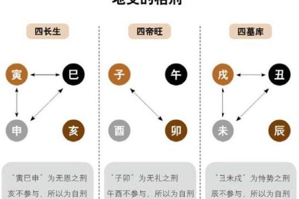 探究天干甲命：命理中的首领与其人生轨迹