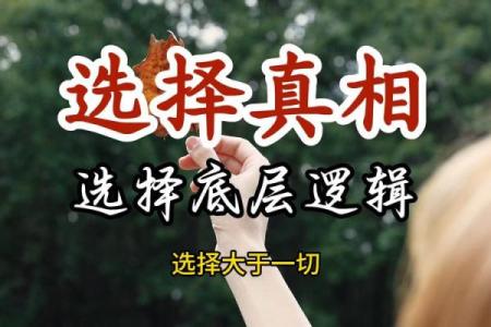 命运与选择：算卦揭示的智慧与人生哲理