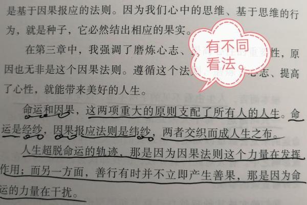 探索仕途命格的奥秘：成就与命运的奇妙交织