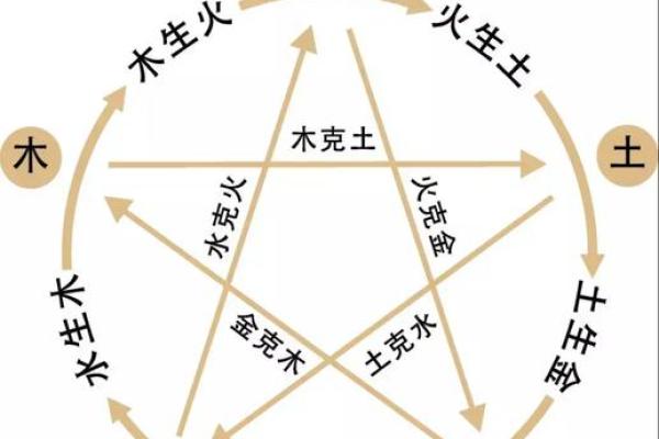 探寻八字中的龙命与羊命：命理背后的秘密与启示